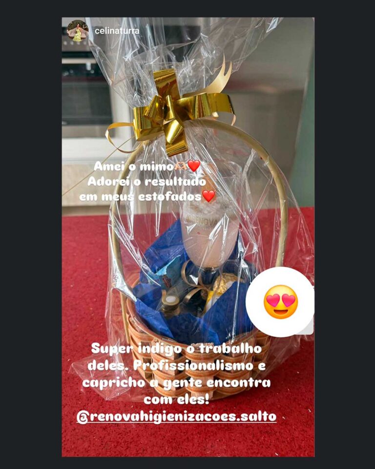 renova-blindagem-hienizacao-sofas-estofados-cadeiras-tapetes-linho-alto-padrao